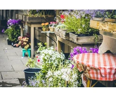 Nielsen's Native Nursery