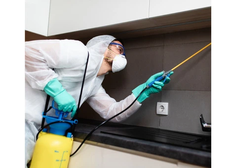 Residential Pest Removal Perth