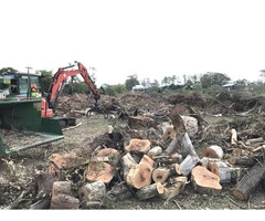 Tree Cutting Service