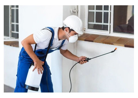 Residential Pest Control Adelaide