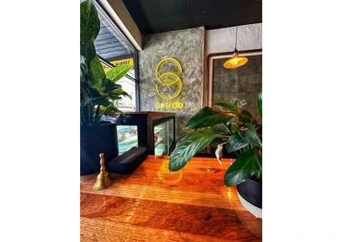 Serendib Northcote - All You Can Eat Buffet Restaurant - 5/11