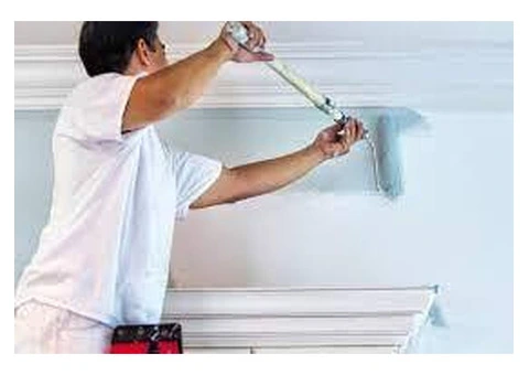 Best Painter in Berwick