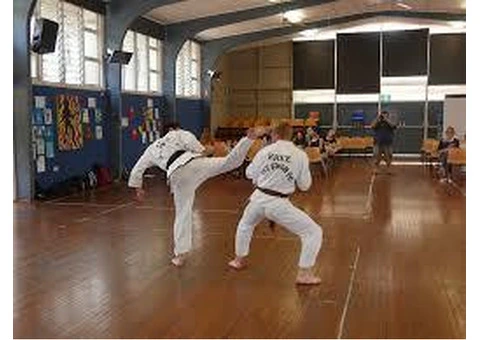 Best Martial Arts Training - Sydney Taekwondo - 3/3