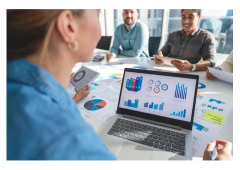 Unlock the Power of Data-Driven Insights with a BI Consultant