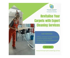Revitalise Your Carpets with Expert Cleaning Services