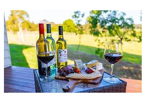 Discover the Best Winery Hotels Near Brisbane