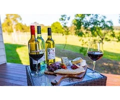 Discover the Best Winery Hotels Near Brisbane
