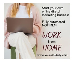 Work from home - learn how to make daily pay online.