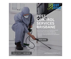 One of the Best Pest Control Service Brisbane | Best Bond Cleaning