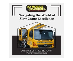 Navigating the World of Slew Crane Excellence