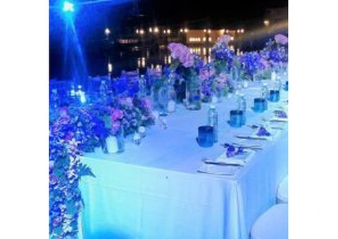 Hire Affordable Wedding Event Planners in Sydney