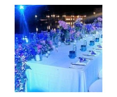 Hire Affordable Wedding Event Planners in Sydney