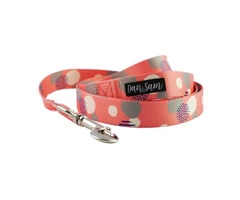 Dan & Sam Polyester Webbing Lead for Dogs - VetSupply