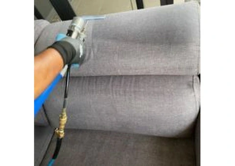 Transform Your Home With Professional Carpet Steam Cleaning