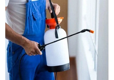 Termite Treatment Gold Coast