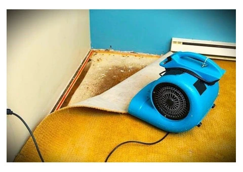 Adelaide's Premier Water Damage Restoration Service