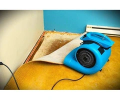 Adelaide's Premier Water Damage Restoration Service