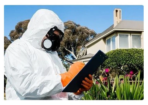 Termite Treatment Sydney