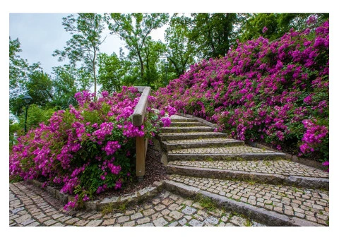 Best Stone Garden Edging in Adelaide