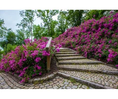 Best Stone Garden Edging in Adelaide