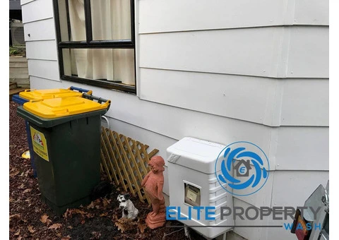 Expert Mould Removal Services in Gold Coast