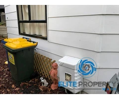 Expert Mould Removal Services in Gold Coast