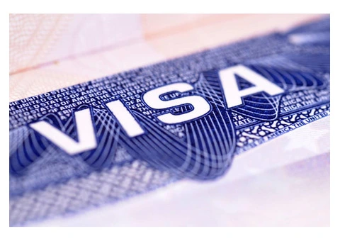 Hire The Best Immigration and Visa Consultant in Australia