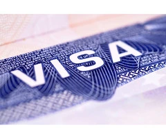 Hire The Best Immigration and Visa Consultant in Australia