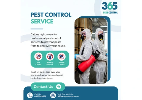 Effective Pest Control Services in Point Cook - Keep Your Home Pest-Free