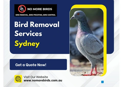 Bird Removal Services Sydney