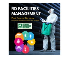 Pest Control Specialists In Sydney - RD Facilities Management