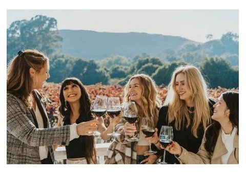 The Most Competent Wine Tours in Adelaide From Nightcruiser