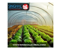 Enhance Your Greenhouse with High-Quality Plastic Rolls