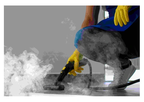 5 Tips: Maintaining Your Couch With A Steam Couch Cleaner In Sunshine