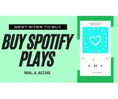 Why You Should Buy 10000 Spotify Plays?
