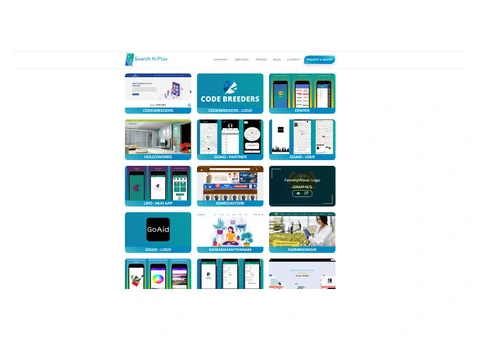 Expert Web Development & IT Services - Search n Play - 3/4