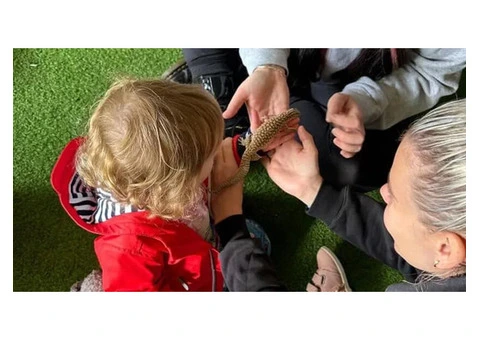 Learn About the Importance of Teaching Language in Child Care Near Me Southern River