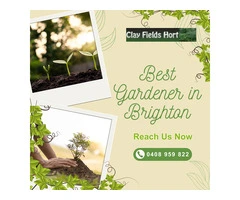 We Are Your Trusted Horticulturist in Brighton East