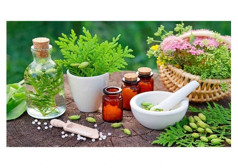 The Best Naturopathy Consultant in Sydney