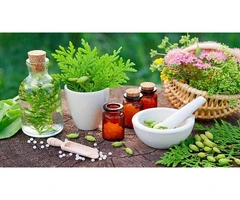 The Best Naturopathy Consultant in Sydney