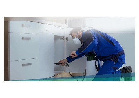 Safe and Reliable Bed Bug Pest Control Services in Melbourne