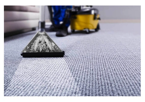 Carpet Cleaning Brighton
