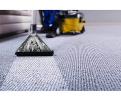 Carpet Cleaning Brighton