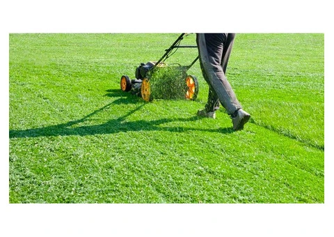 Top Notch NDIS Gardening and Yard Maintenance in Brisbane by Experts