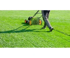 Top Notch NDIS Gardening and Yard Maintenance in Brisbane by Experts