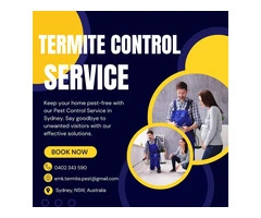 Effective Termite Control Treatment in Sydney!
