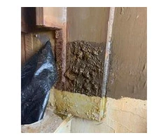 Mould Assessment Sydney | Mould Removal | Integrated Environmental
