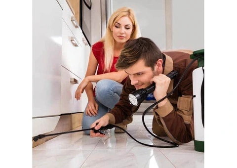 Commercial Pest Removal Cost Canberra