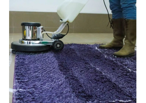 Hire Professional Rug Cleaning Service in Perth