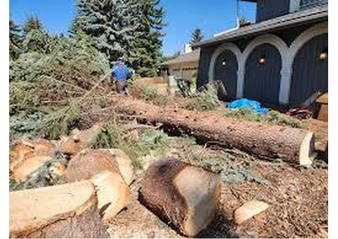 Green Drop Lawns Ltd, Meridian Road Northeast, Calgary, Alberta T2A 2N9, Canada